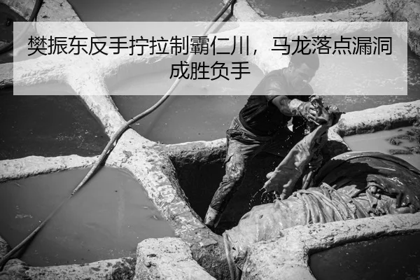 fan-zhen-dong-fan-shou-ning-la-zhi-ba-ren-chuan-ma-long-luo-dian-lou-dong-cheng-sheng-fu-shou-3-328.jpg