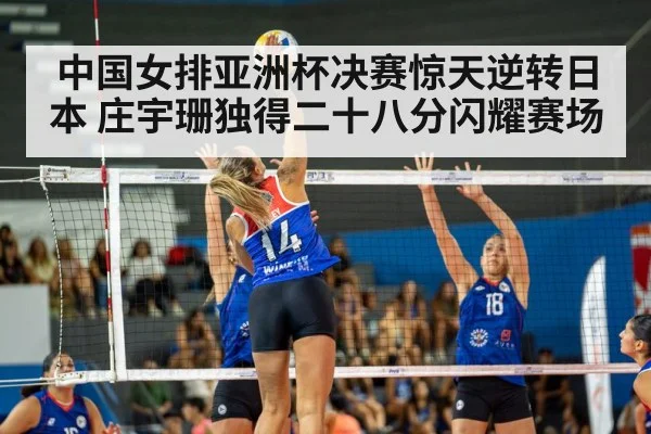 volleyball match action
