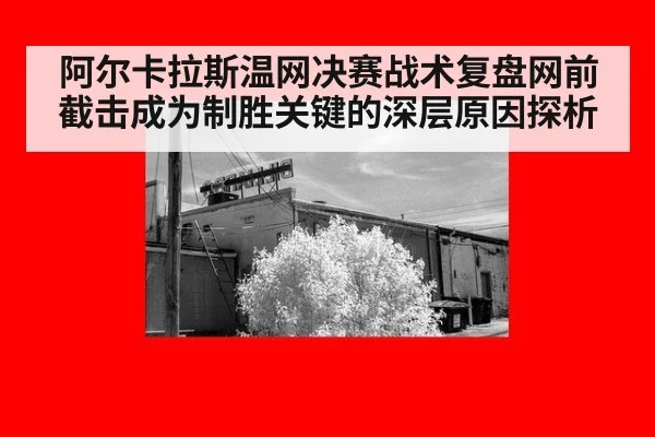 阿尔卡拉斯温网决赛战术复盘网前截击成为制胜关键的深层原因探析